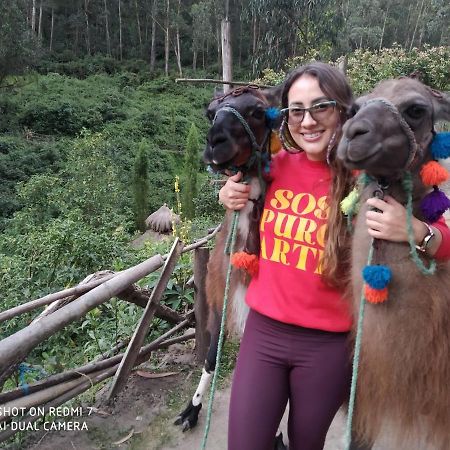 Hostal Killa Llullu Quito Exteriér fotografie