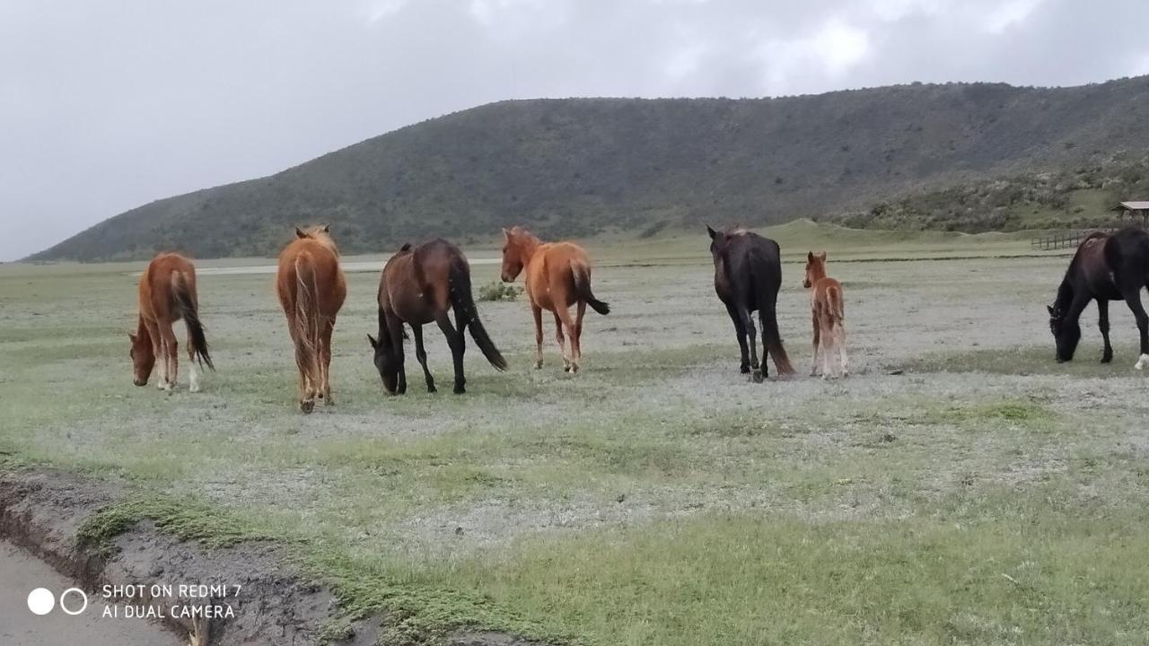 Hostal Killa Llullu Quito Exteriér fotografie